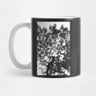 Leaf Study #7 Mug